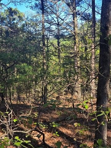 Moyers Land in Kiamichi Wilderness