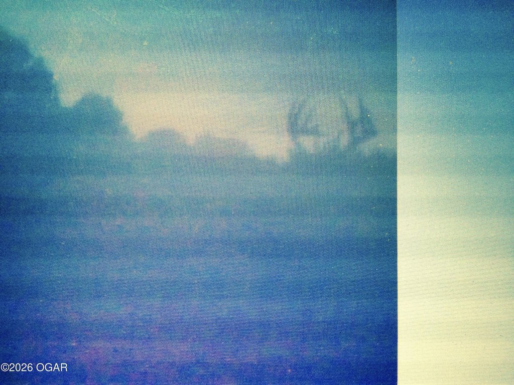 Picture 13