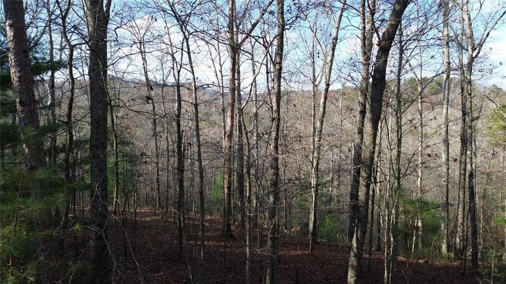 Ranger, GA Mountain Escape Lot