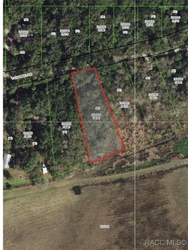 Residential Land in Hernando, Florida