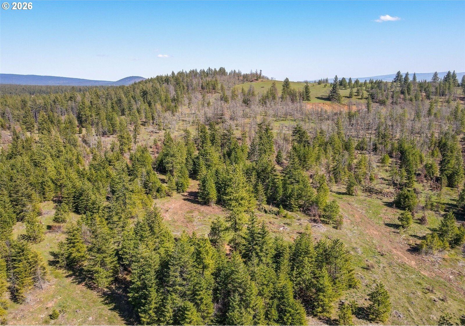 80 Acres with Mountain Views