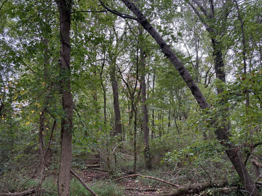 Picture 18