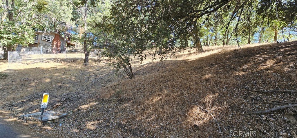 Picture 10