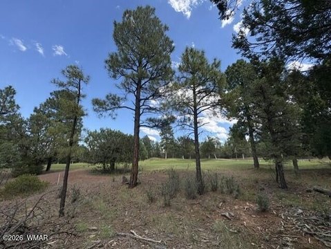 Land, Show Low, AZ
