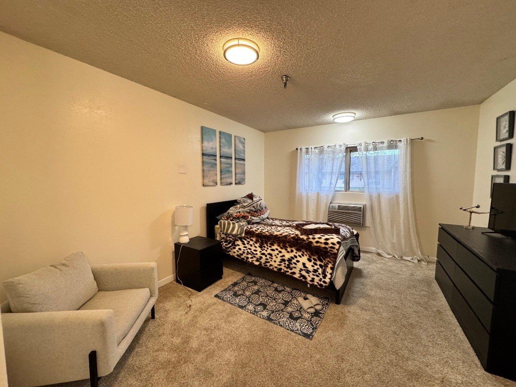Picture 29