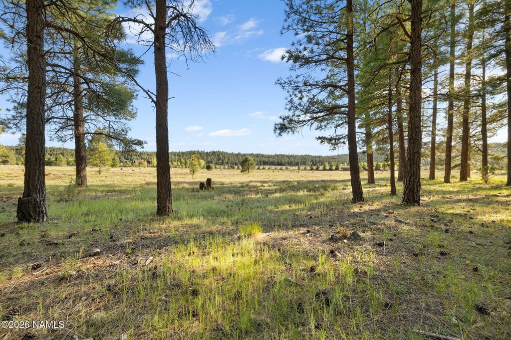 Picture 36