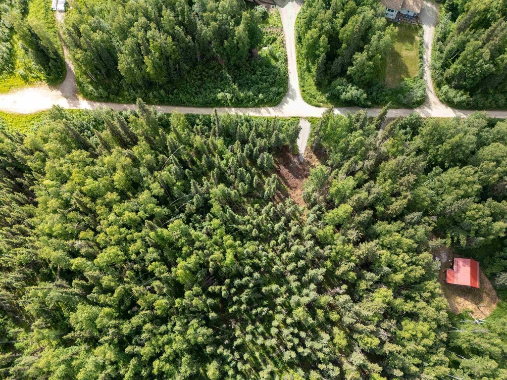 Picture 15