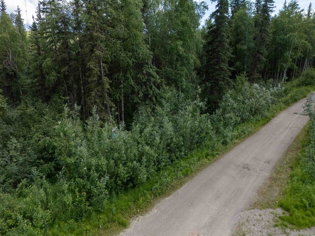 Picture 25