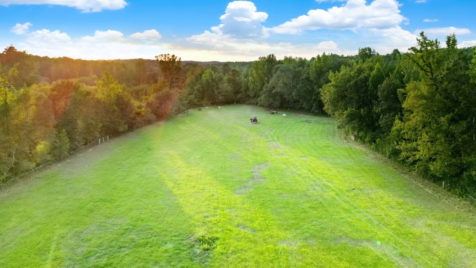 Centreville Farm with Creek and Home
