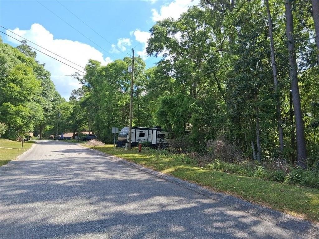Picture 3