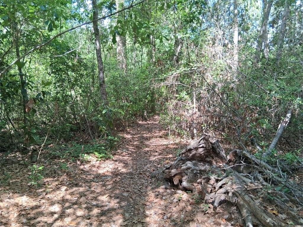 Picture 8