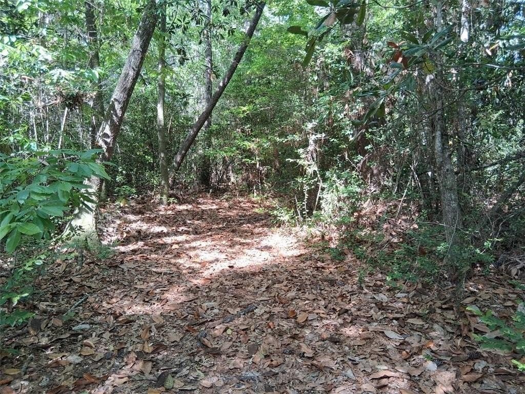 Picture 9