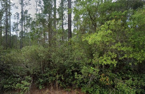 LAND - Georgetown, FL