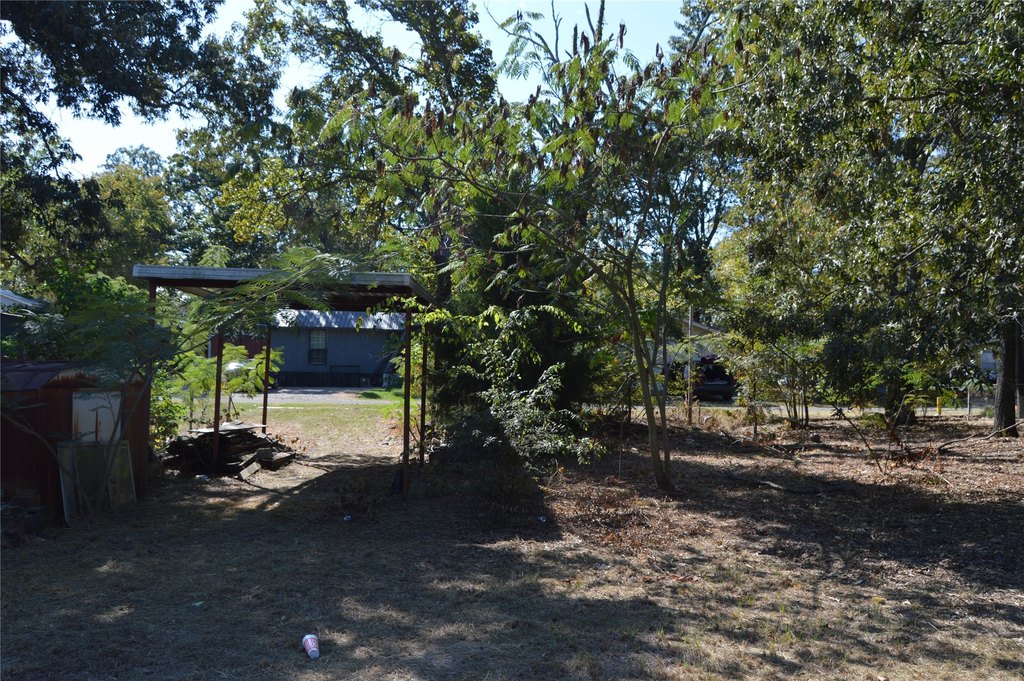 Picture 13