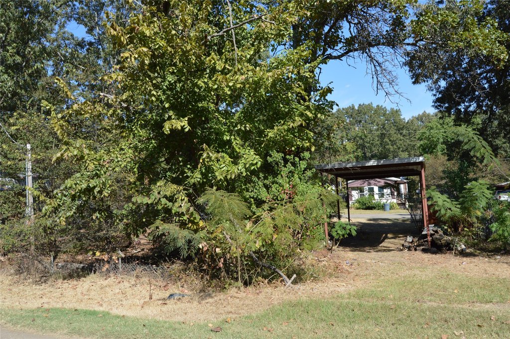 Picture 9