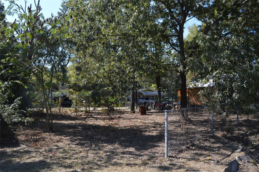 Picture 11