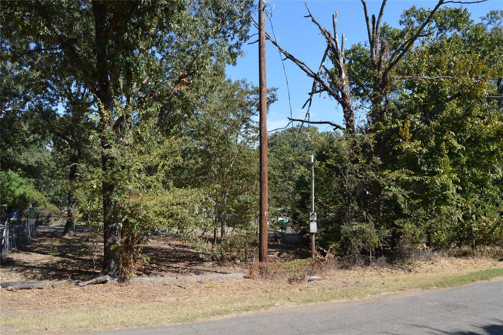 Picture 15