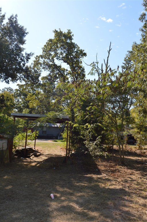 Picture 17