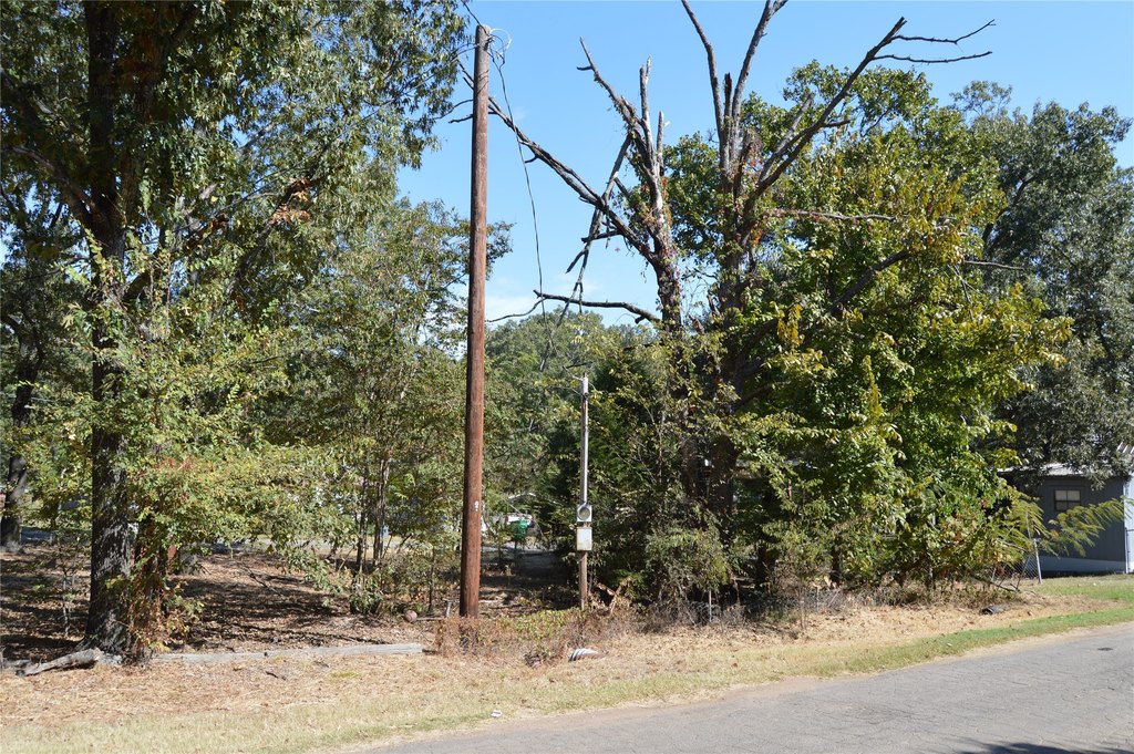 Picture 18