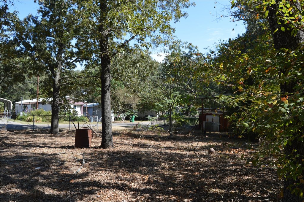 Picture 16