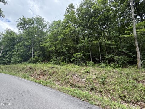 LAND - Sevierville, TN