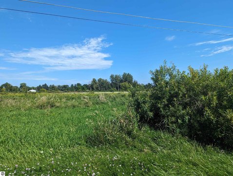 Residential Lot in Au Gres