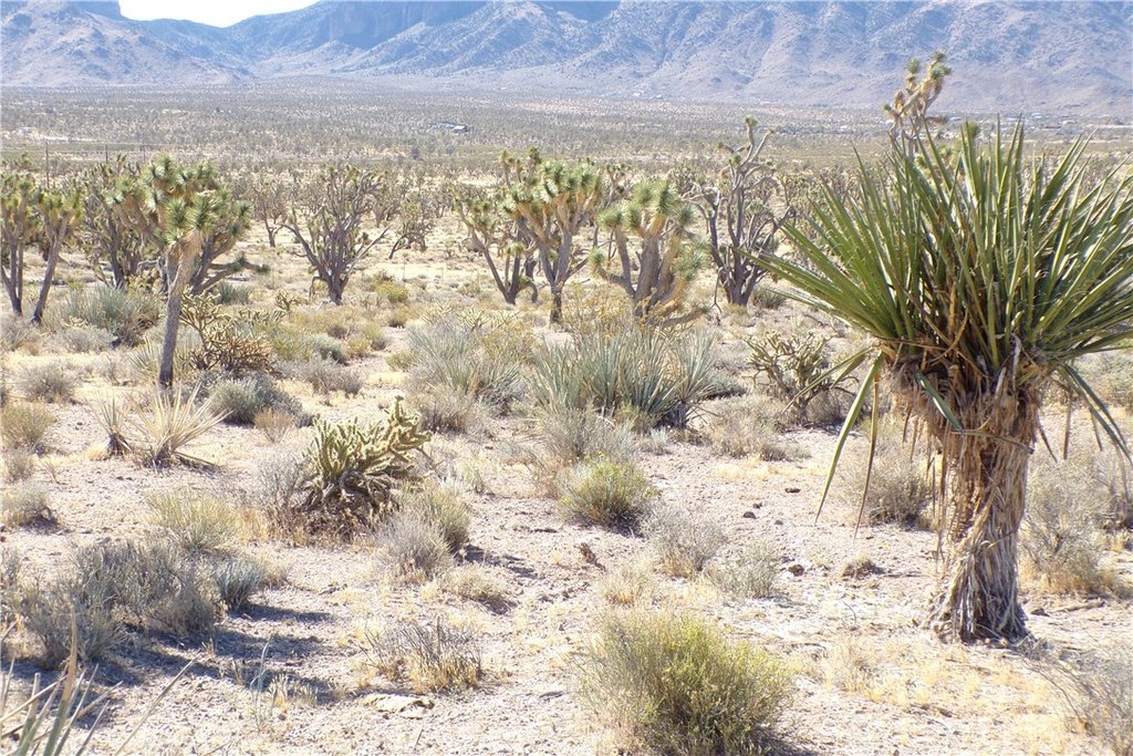 Picture 16