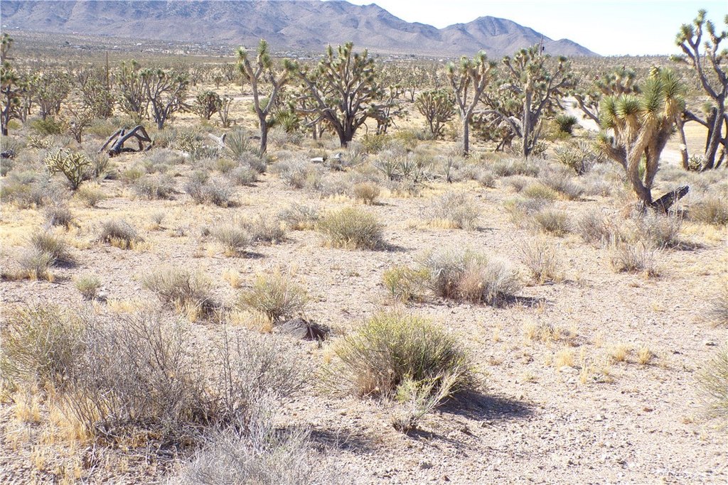 Picture 10