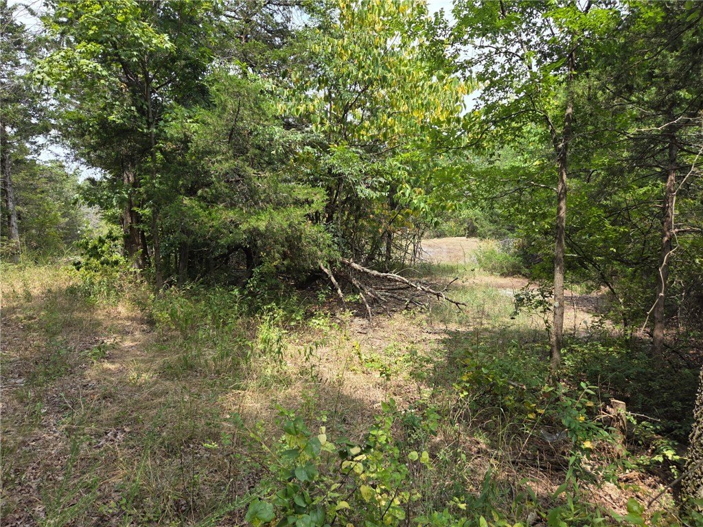 Picture 11