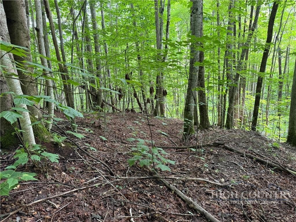 Beech Mountain Land For Sale