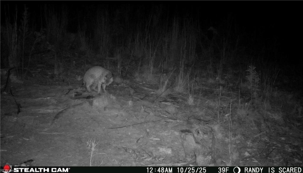 Picture 26