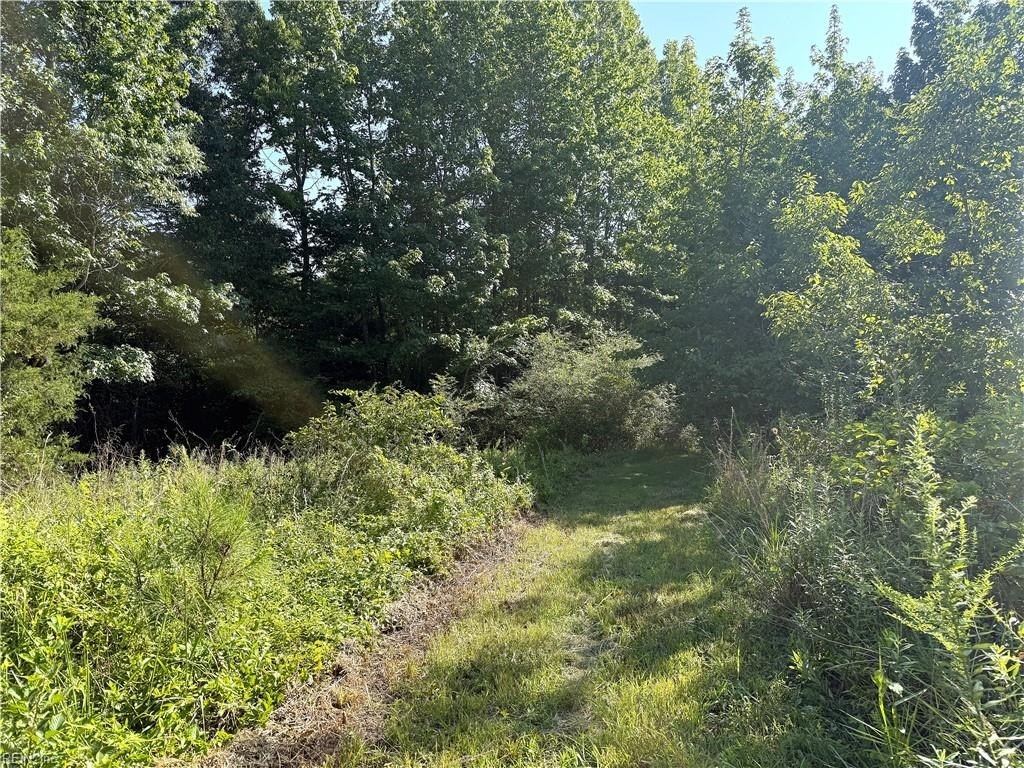 Picture 25