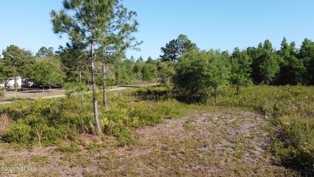 Picture 9