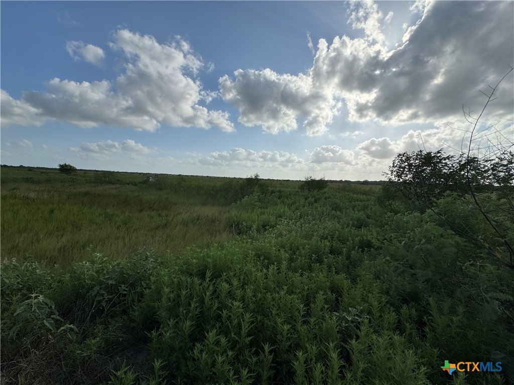 Picture 17