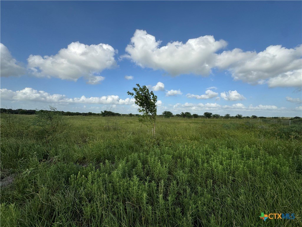 Picture 20