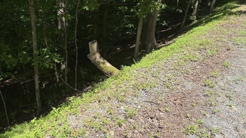 Homesite Land in Gated Community