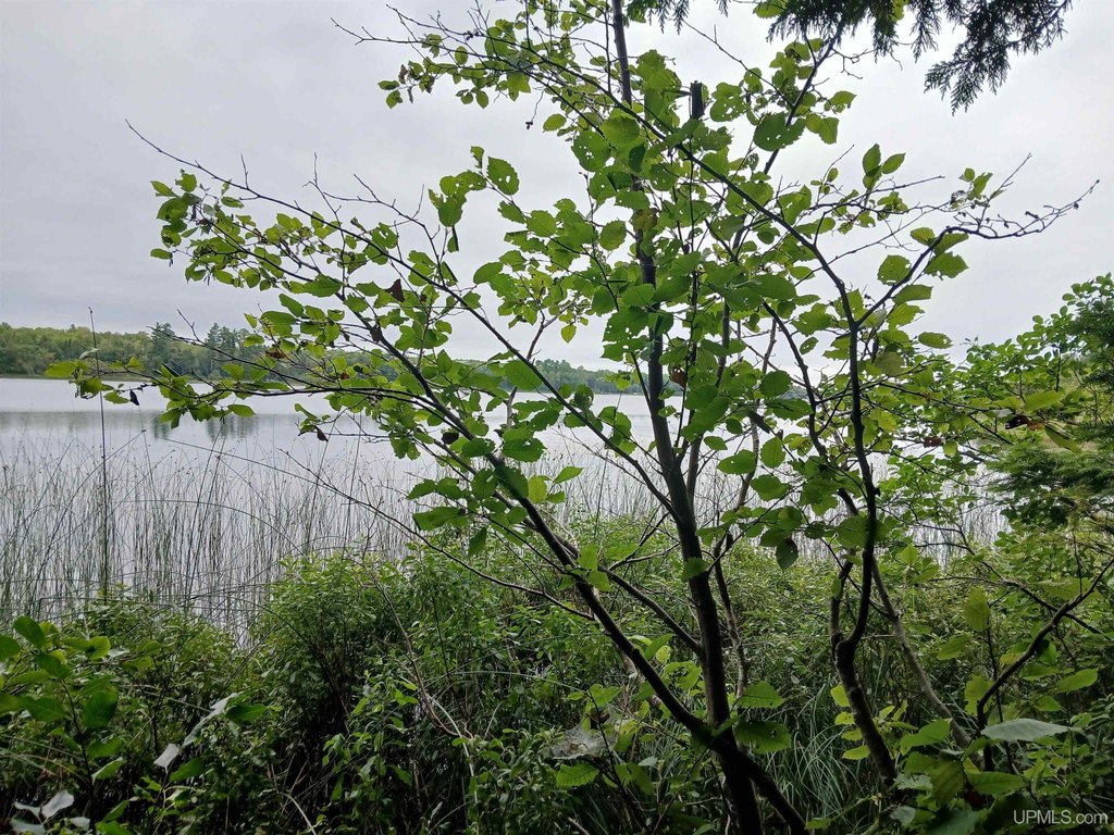 Picture 38