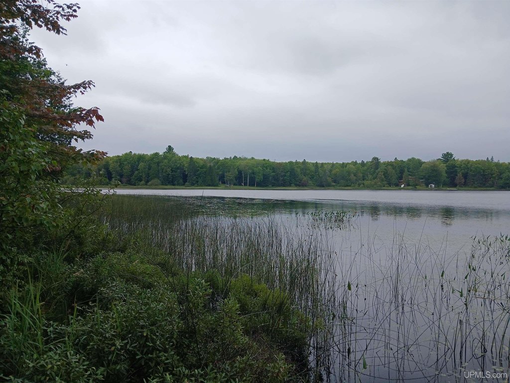 Picture 43