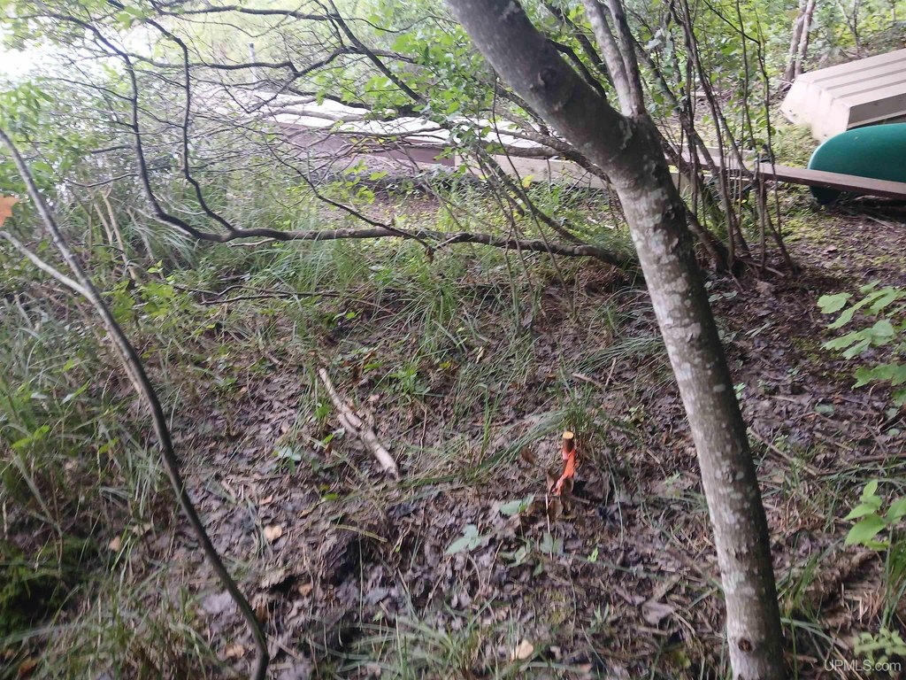 Picture 39