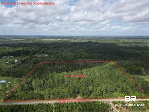 Timber Land Homesite Tract