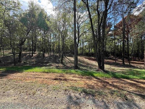 LAND - Vinemont, AL