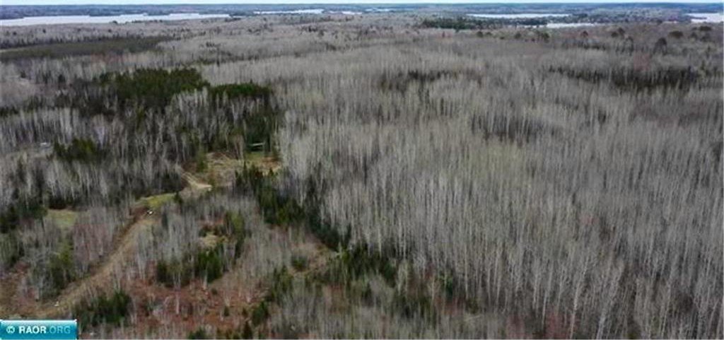 Picture 10