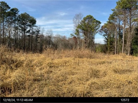 Commercial Land in Buchanan, GA