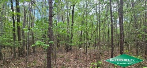 Recreational Land with Established Trails