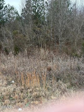 Prime Commercial Land, Sevierville, TN