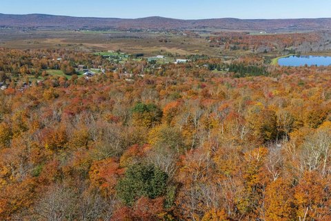 Lots/Land, Davis, WV