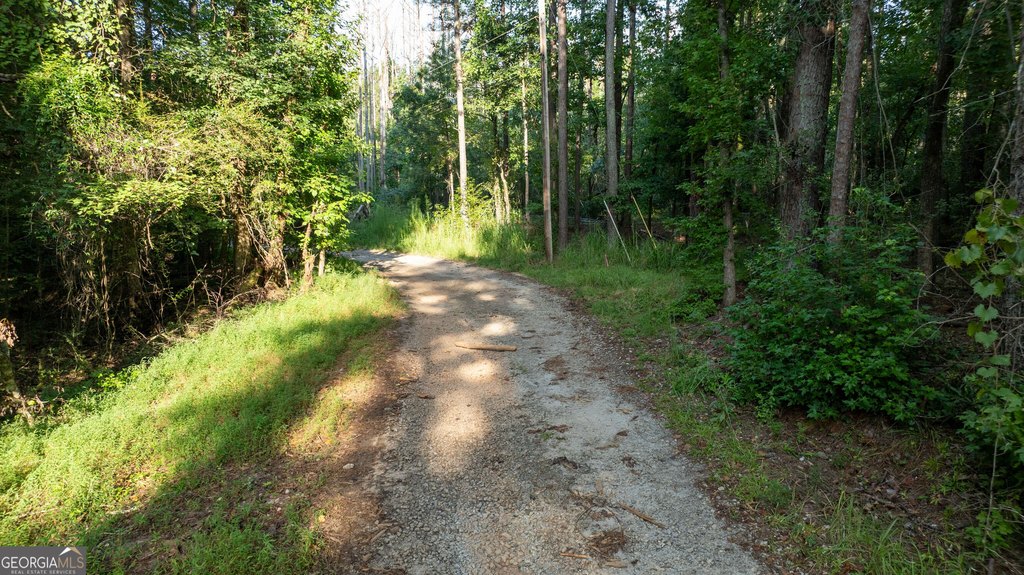 Picture 22