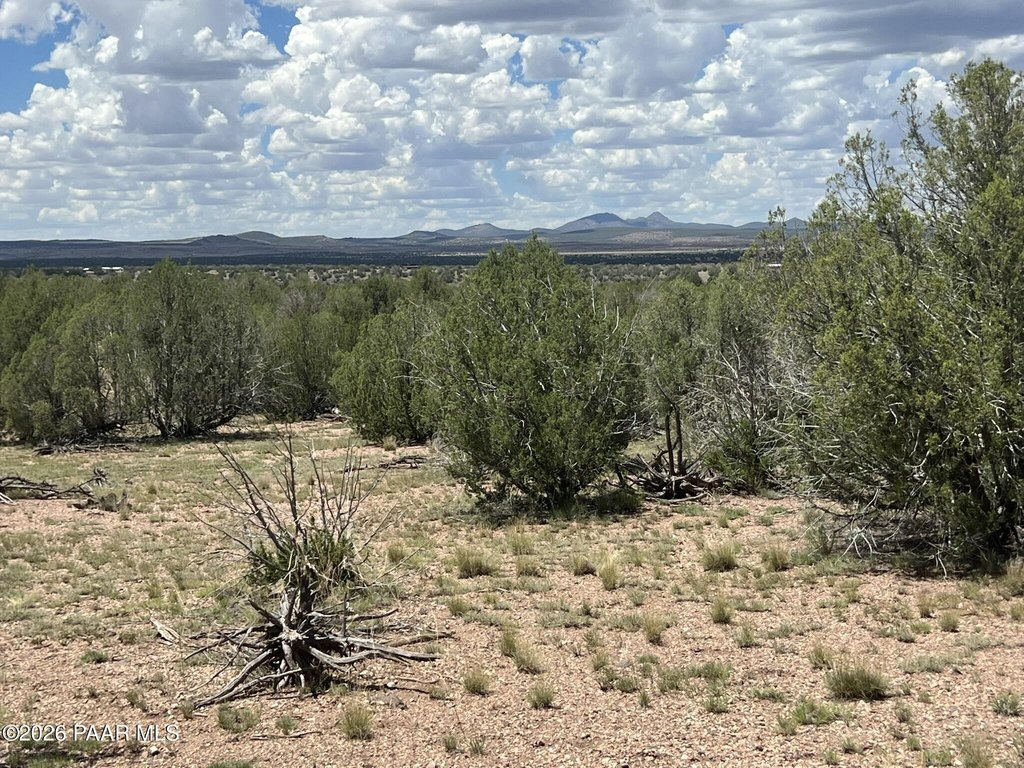 Picture 9