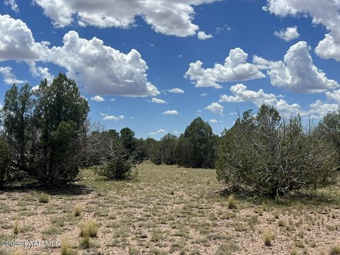 LAND - Ash Fork, AZ