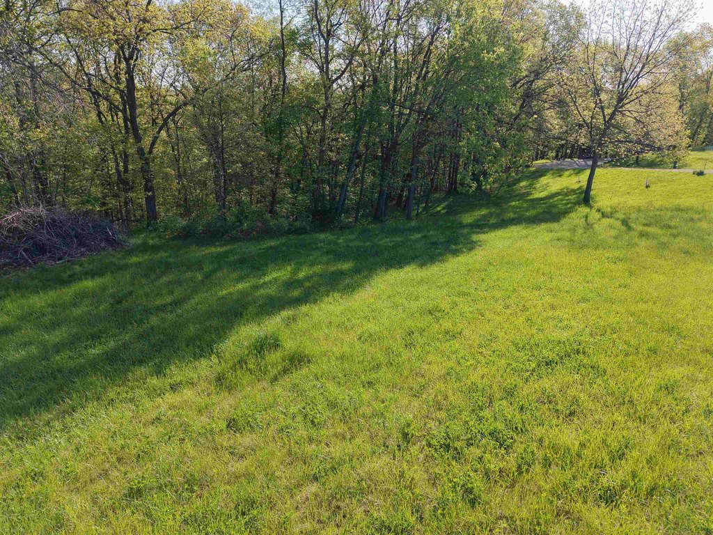 Picture 21